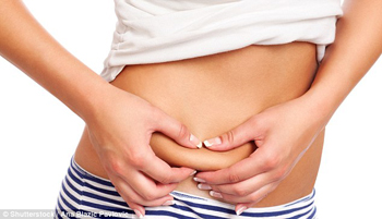 ステーキナイフ図鑑イメージ写真1