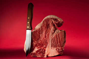 ステーキナイフ図鑑イメージ写真5