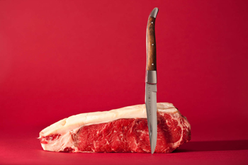 ステーキナイフ図鑑イメージ写真6