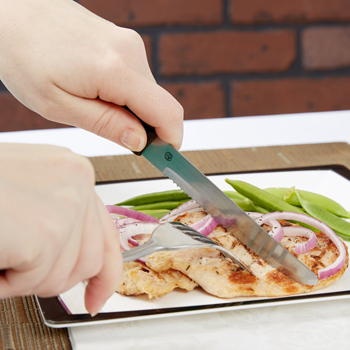 ステーキナイフ図鑑イメージ写真2