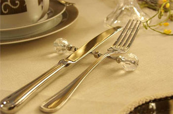 図鑑イメージ写真2