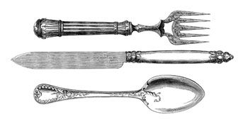 図鑑イメージ写真2