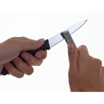 図鑑イメージ写真4