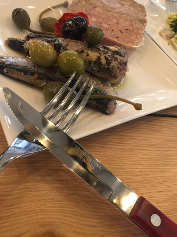 図鑑イメージ写真5